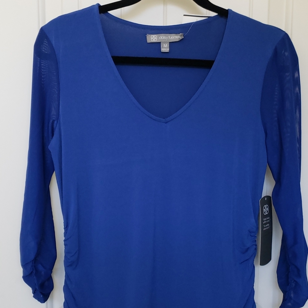 Daisy Fuentes Top with Sheer Sleeves